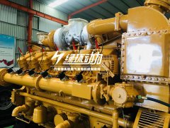 畜牧糞便沼氣發(fā)電機組